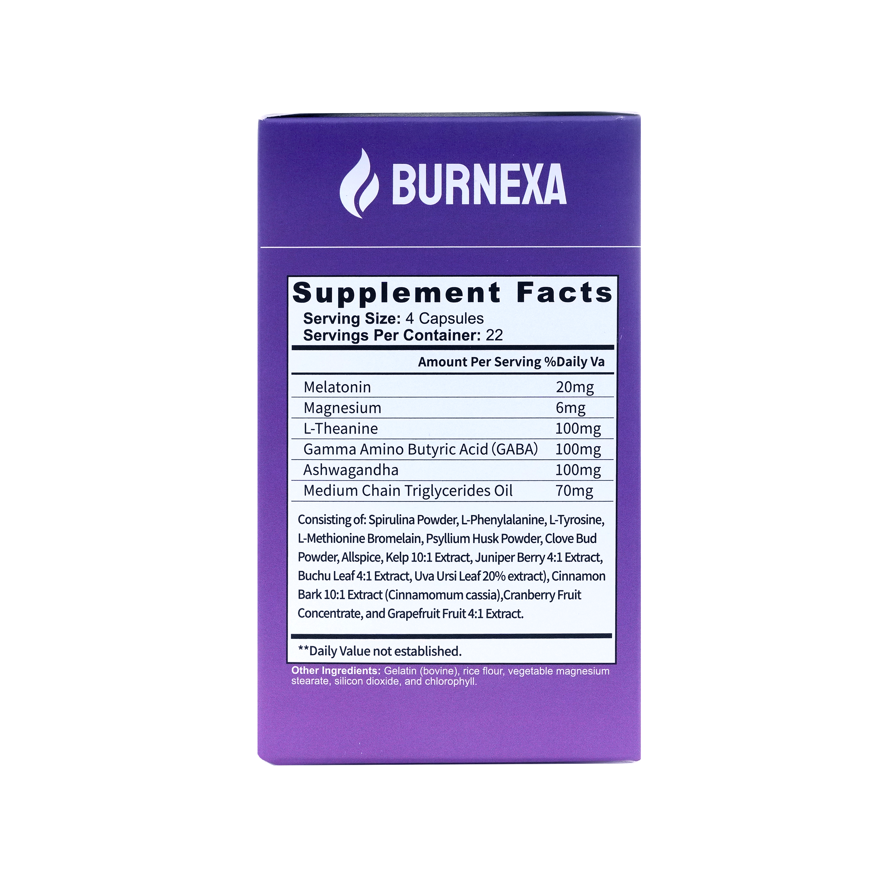 Burnexa Night Time Fat Burner